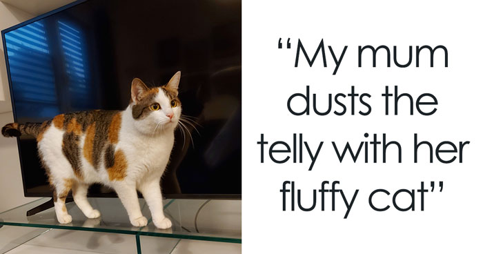 Someone Online Wondered What Disgusting Things People Do And 30 People Told Them