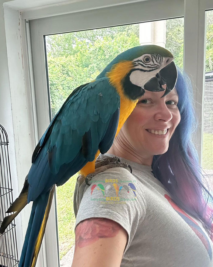 Woman smiling with a colorful parrot on her shoulder, illustrating bird poop as a public health risk, not a good omen.