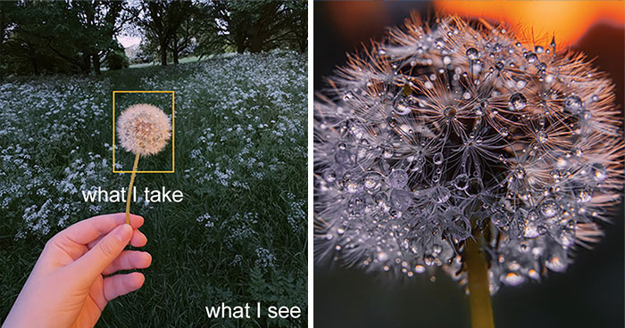 “What I See Vs. What I Take”: 16 Photos Revealing How This Photographer Captures The Perfect Shot