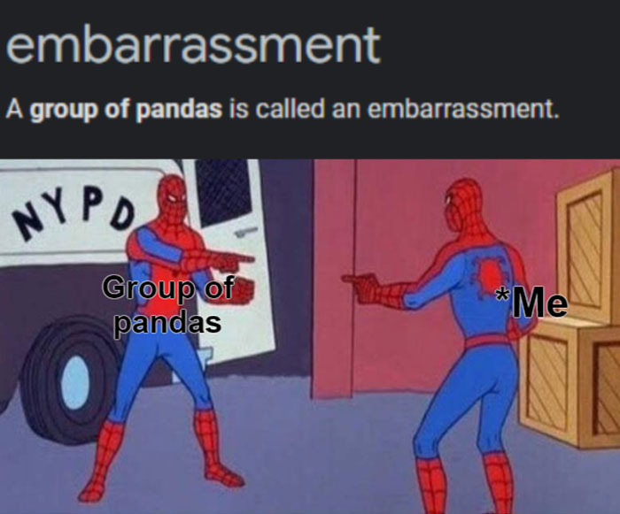 Meme showing two Spider-Men pointing at each other with text about a group of pandas called an embarrassment.
