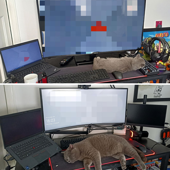 Before and after photos showing a desk setup makeover with a cat resting on the keyboard in a heartwarming transformation.