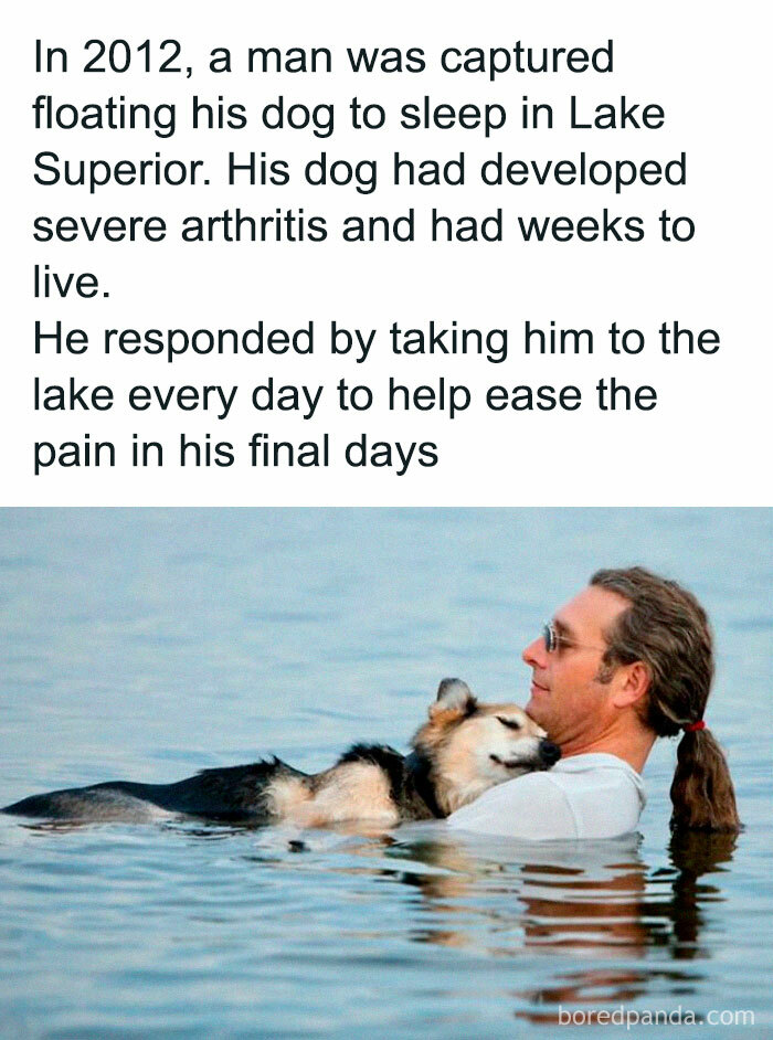Man floating a dog in calm lake water to ease arthritis pain, showcasing the bond of delightful animals and care.