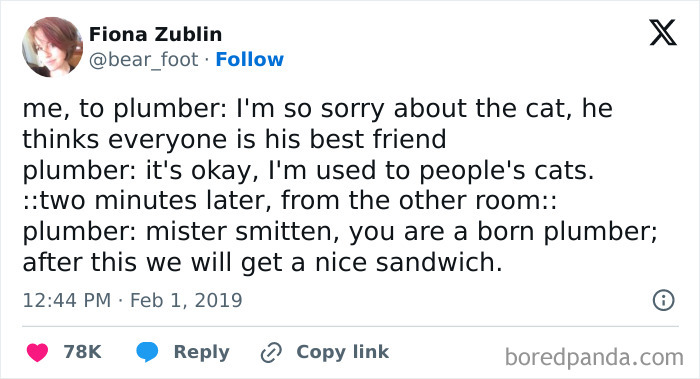 Tweet humor about a cat’s friendliness charming a plumber, part of delightful animals and funny animal memes.