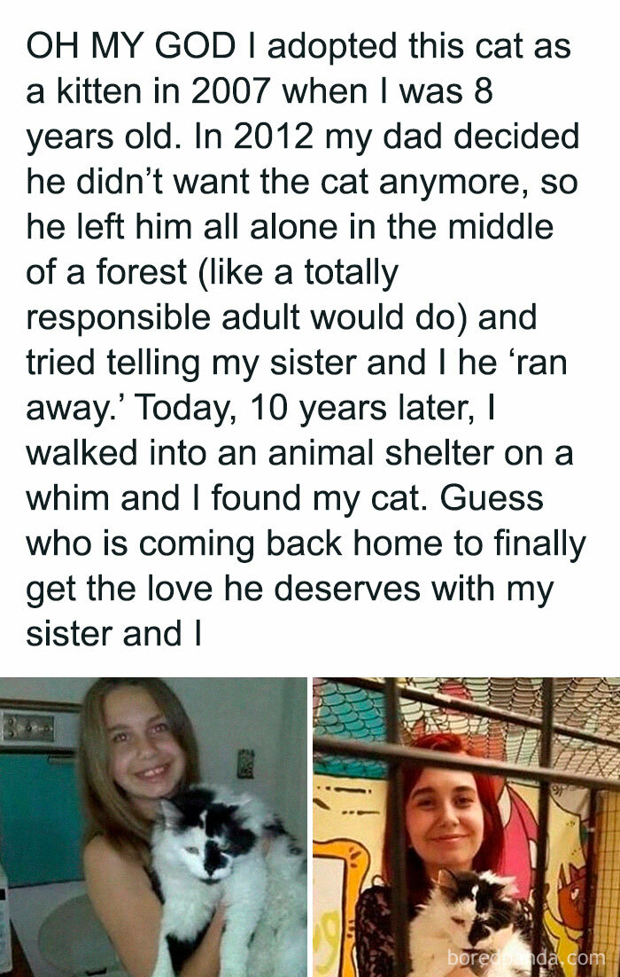 Heartwarming story of a girl reuniting with her cat after 10 years, showcasing delightful animals and their bond.