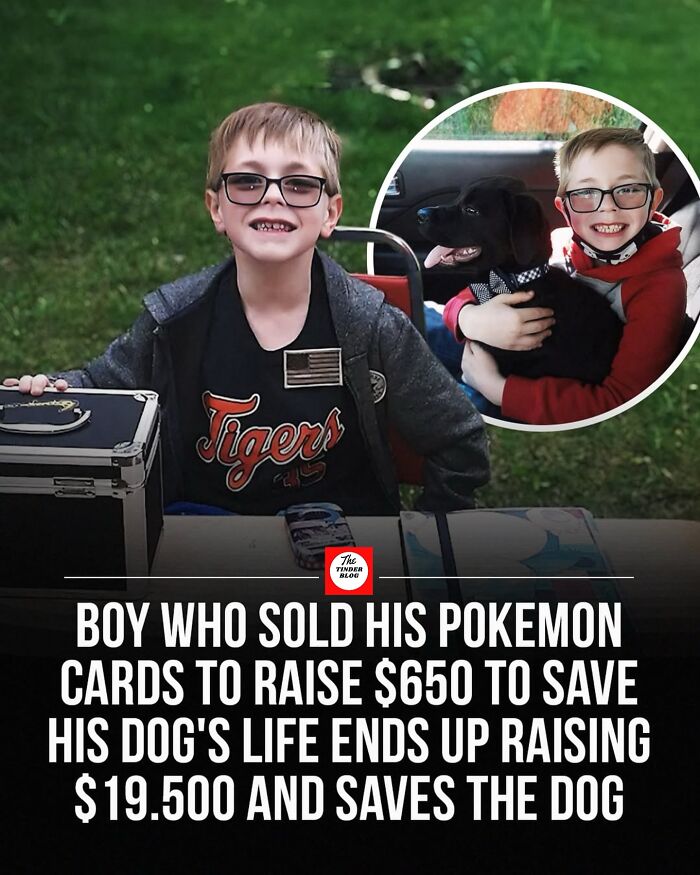 Young boy smiling outdoors with his dog, showcasing delightful animals and heartwarming rescue story.