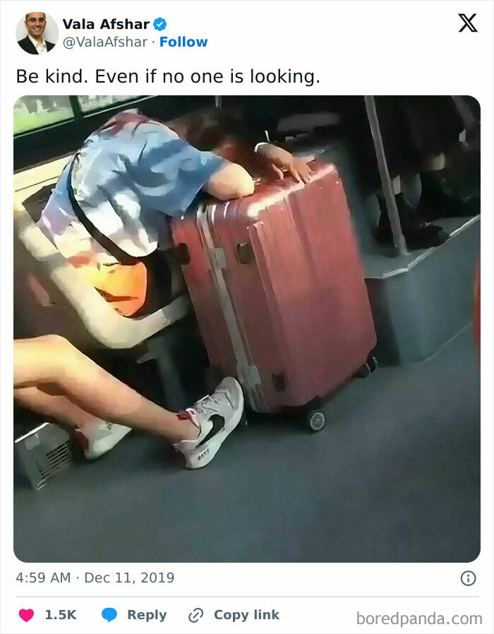Tweet showing a person resting on a pink suitcase with a message about kindness, a wholesome meme for favorite people.