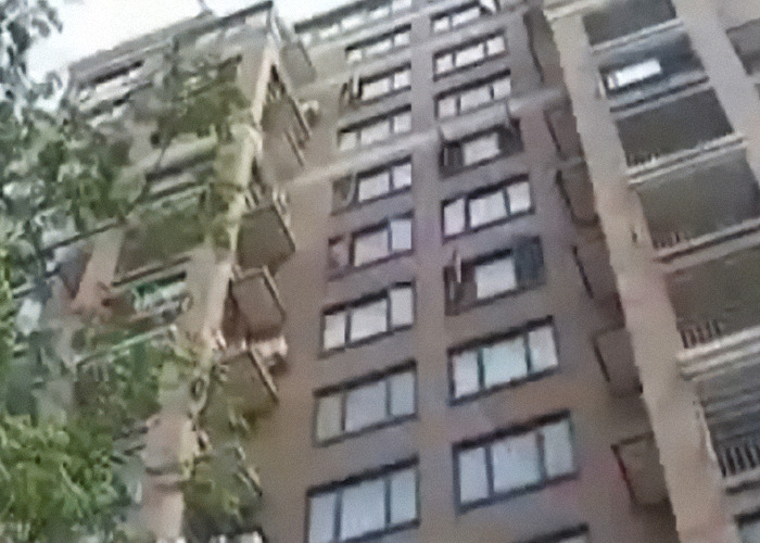 Woman Who Saved Little Girl Falling From 10th Floor Is Melting Hearts 14 Years Later