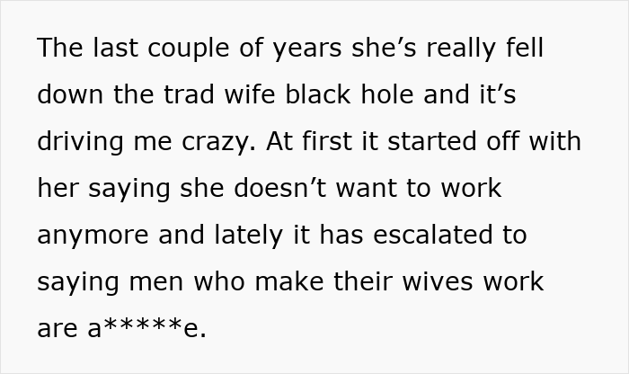 Text excerpt discussing a man&rsquo;s frustration as his wife embraces the tradwife lifestyle and opposes working.