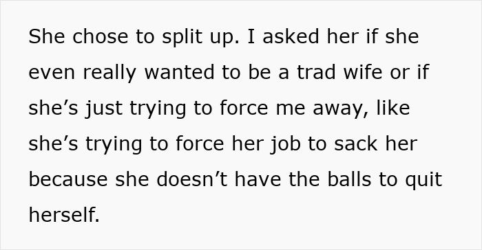 Text discussing a woman asking her husband to be a tradwife and his perspective on what that role entails.