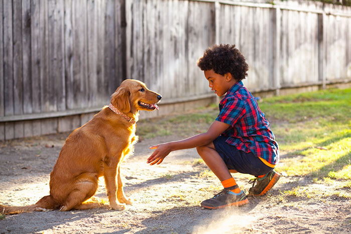 Young child interacting with a golden retriever outdoors, illustrating a babysitter refuses to watch one specific child scenario.