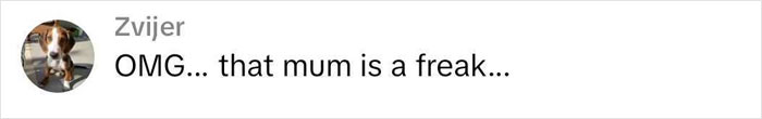 Comment screenshot showing a user reacting with OMG... that mum is a freak to a story about parents demanding stranger's dog for their daughter. Comment screenshot showing a user reacting with OMG... that mum is a freak to a story about parents demanding stranger's dog for their daughter.