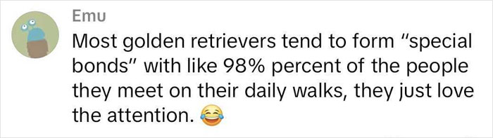 Comment about golden retrievers forming special bonds with people during daily walks, highlighting their love for attention. Comment about golden retrievers forming special bonds with people during daily walks, highlighting their love for attention.