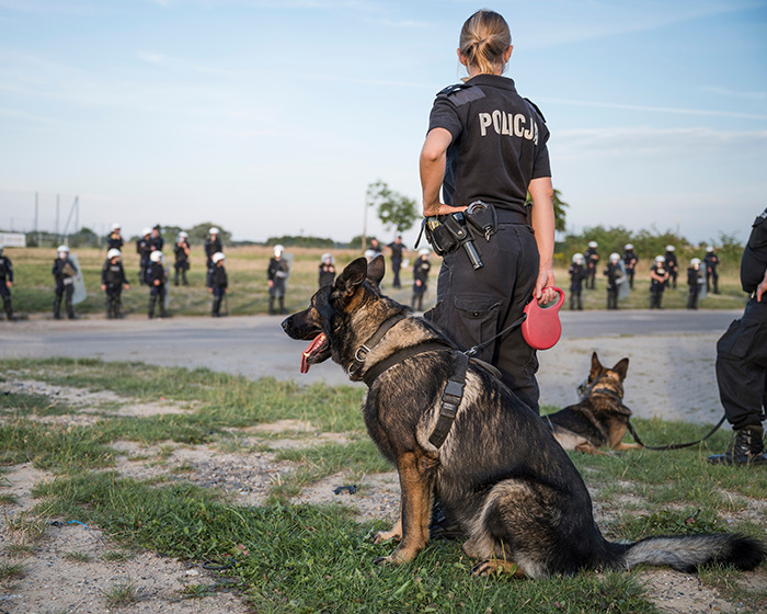 Police officer with German shepherds in open area during a lineup, highlighting caring mother&rsquo;s portion of jaw missing.