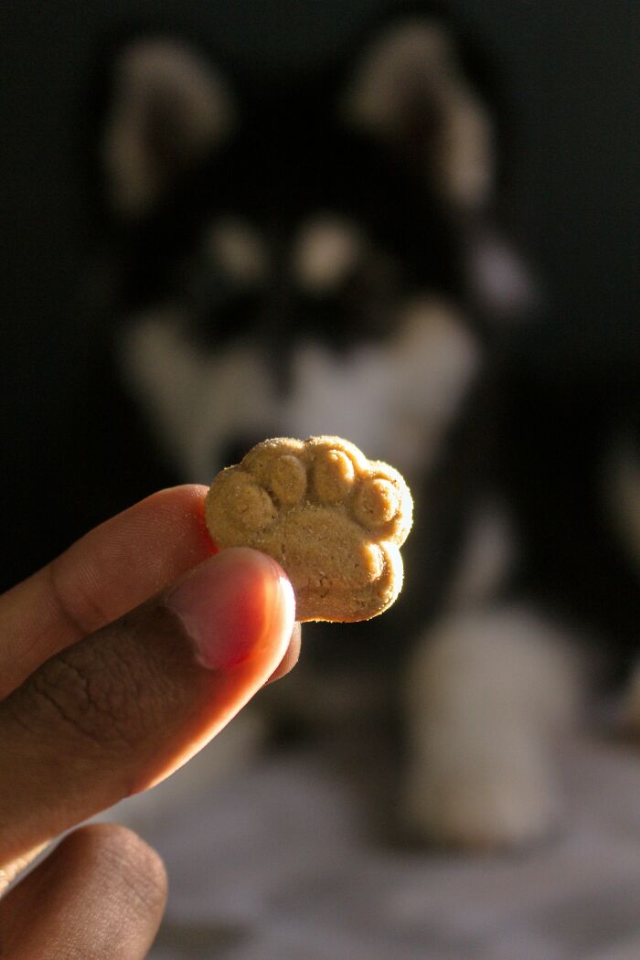 Hand holding a paw-shaped dog treat in focus with a blurred dog in the background, reflecting disrespectful family stories.
