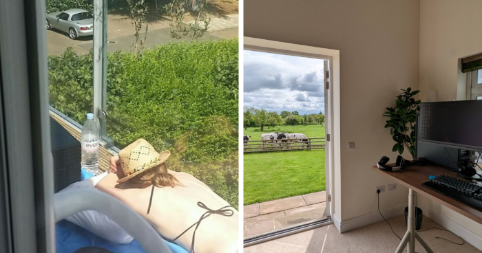 50 Posts That Prove Remote Work Is A Comedy Genre Now