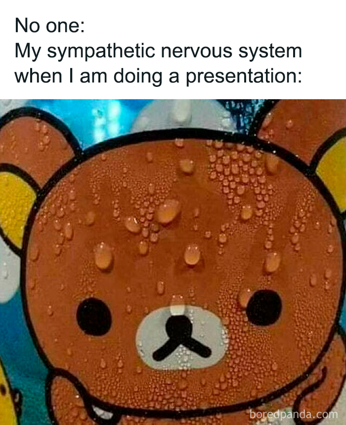 Cute sweating bear meme illustrating sympathetic nervous system anxiety, perfect for medical memes about healthcare stress and costs.