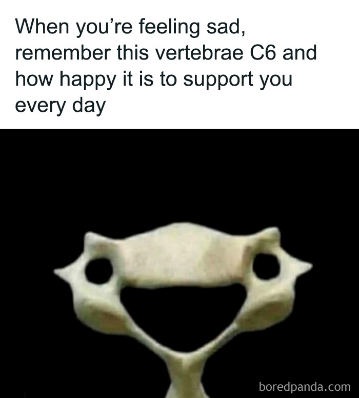 Happy vertebrae C6 bone meme to laugh about healthcare being expensive and support during sad times.