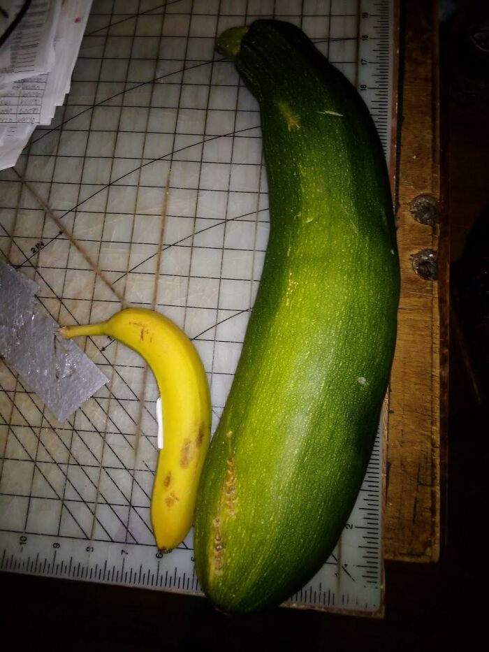 Monster-Sized Zucchini
