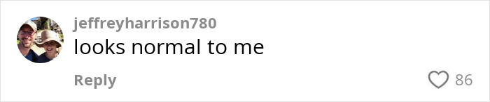 Screenshot of social media comment with a user&rsquo;s profile picture and text saying looks normal to me, discussing Gen Z woman stopped shaving.