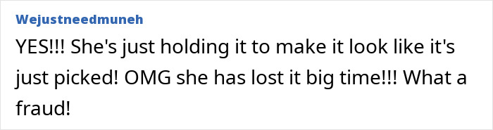 Screenshot of a comment accusing Meghan Markle's fruit-picking photo of being embarrassing and calling it a fraud.