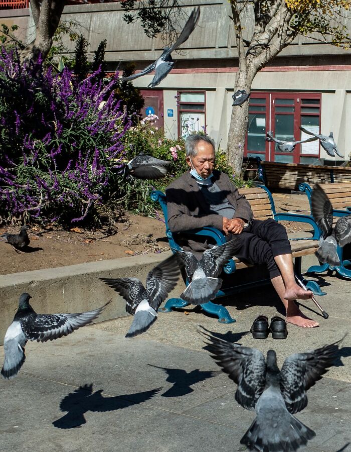 Stories From The Street