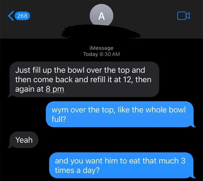 Text message conversation showing concern about feeding a severely overweight cat three times a day with large portions - 6