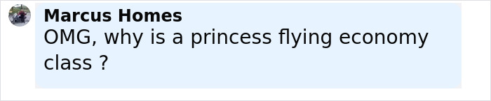 Comment from Marcus Homes questioning why a princess is flying economy class, related to Japanese Princess Kako viral news.