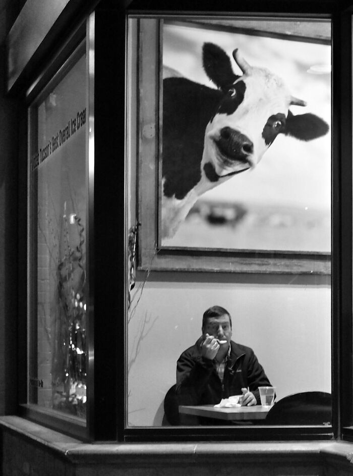 Stories From The Street