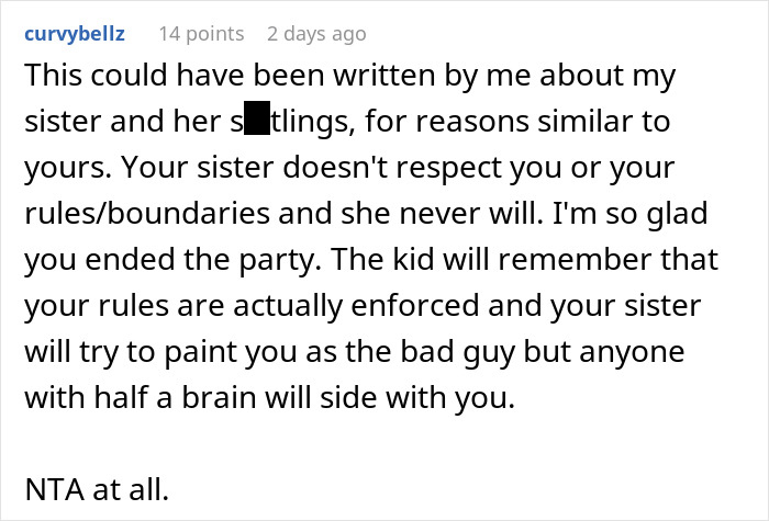 Commenter discussing a woman upset after her brother cut her son&rsquo;s party short due to a broken sentimental toy.