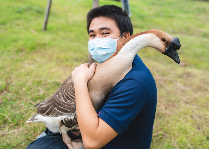 Man wearing a mask holding a large goose outdoors, symbolizing ridiculous complaints managers and HR received from employees.