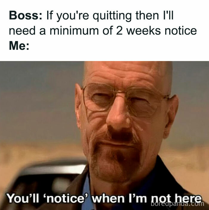 Man with glasses and beard in a work meme about quitting job with two weeks notice, funny work meme theme.