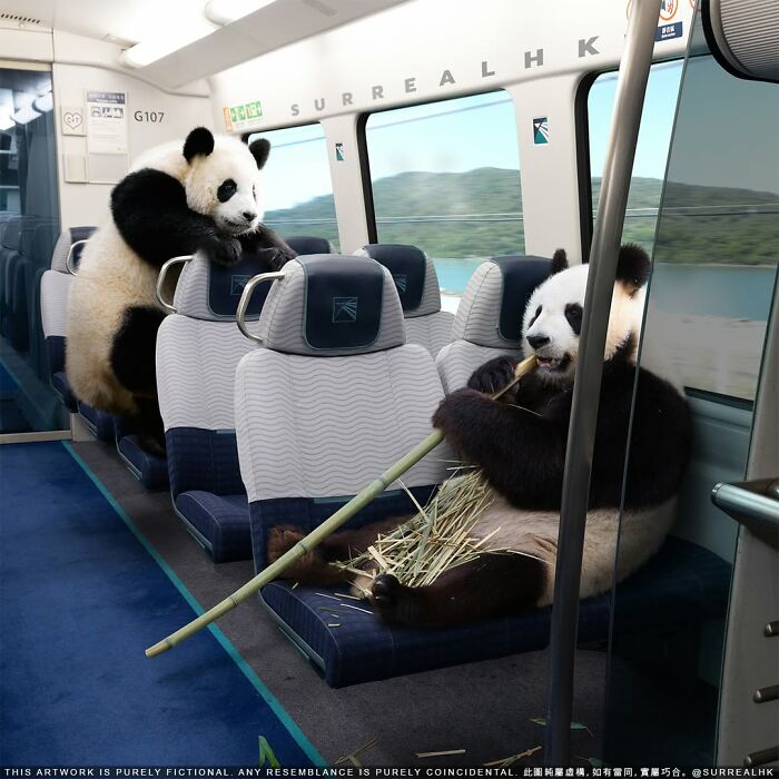 Two pandas inside a train car, one eating bamboo, showcasing hilarious panda edits by SurrealHK in Hong Kong.