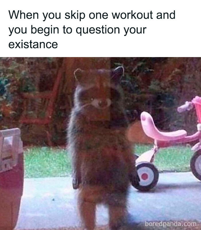 Blurred raccoon standing outside near a tricycle with meme text about gym workout and questioning existence.