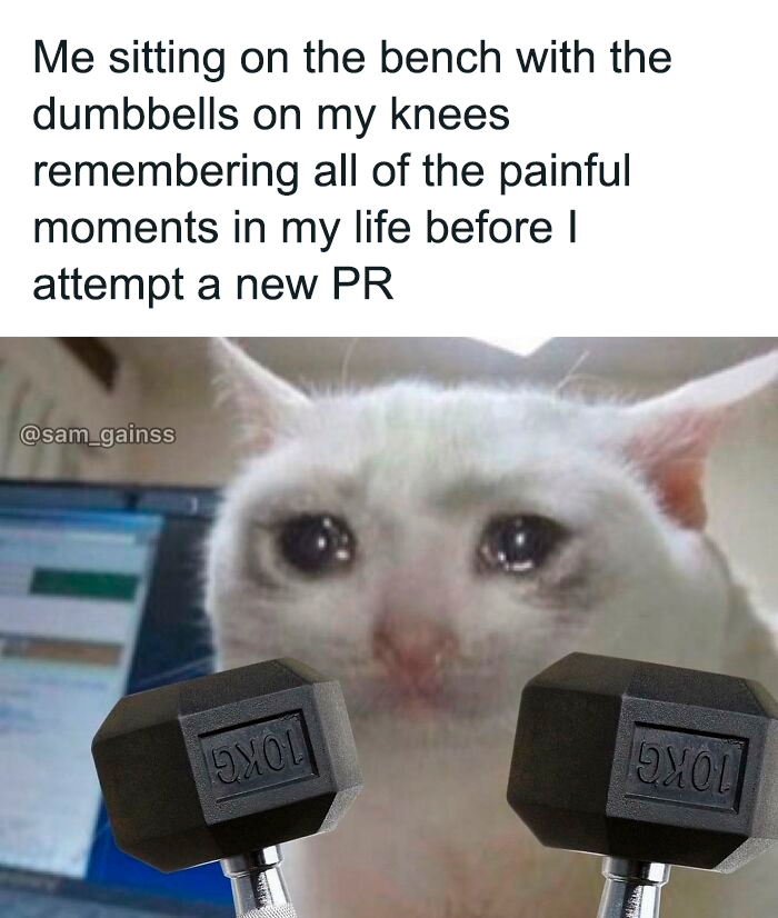Crying cat meme with dumbbells on knees, capturing the struggle and humor of gym life and workout moments.