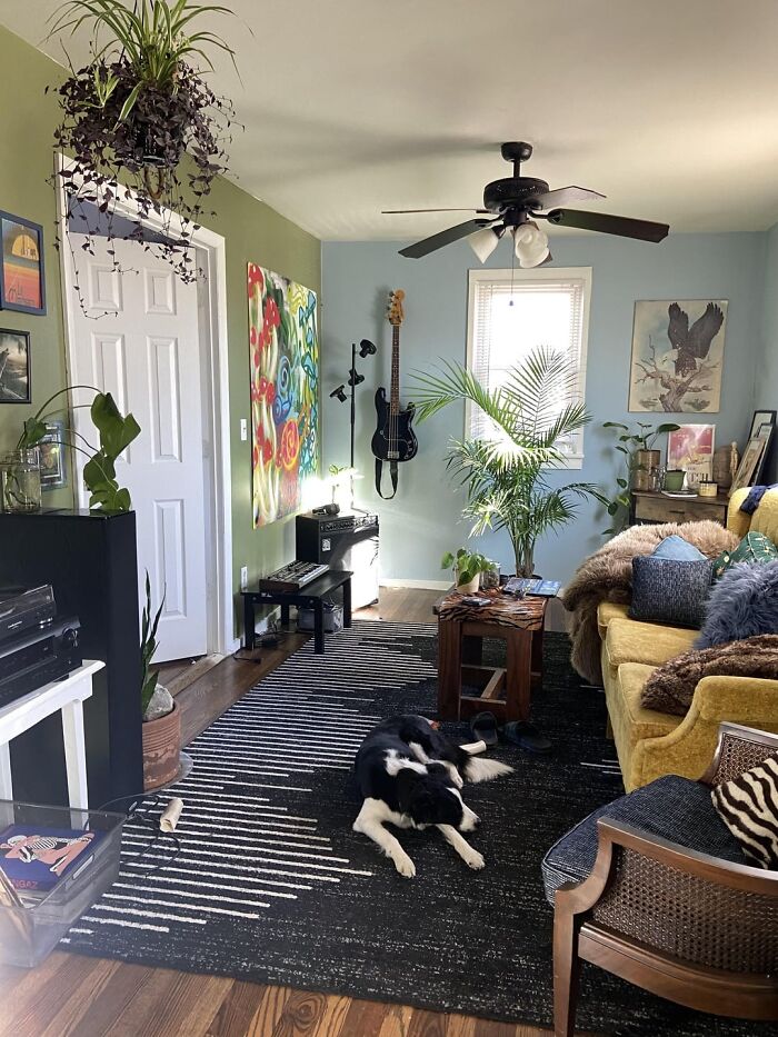 Cozy living space revamped with vibrant wall art, green plants, and modern furniture featuring a black and white patterned rug.