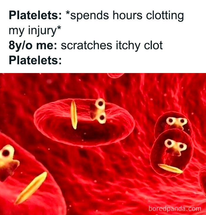 Platelets cartoon with eyes reacting to scratching an itchy clot, a funny medical meme about healthcare and blood clotting.