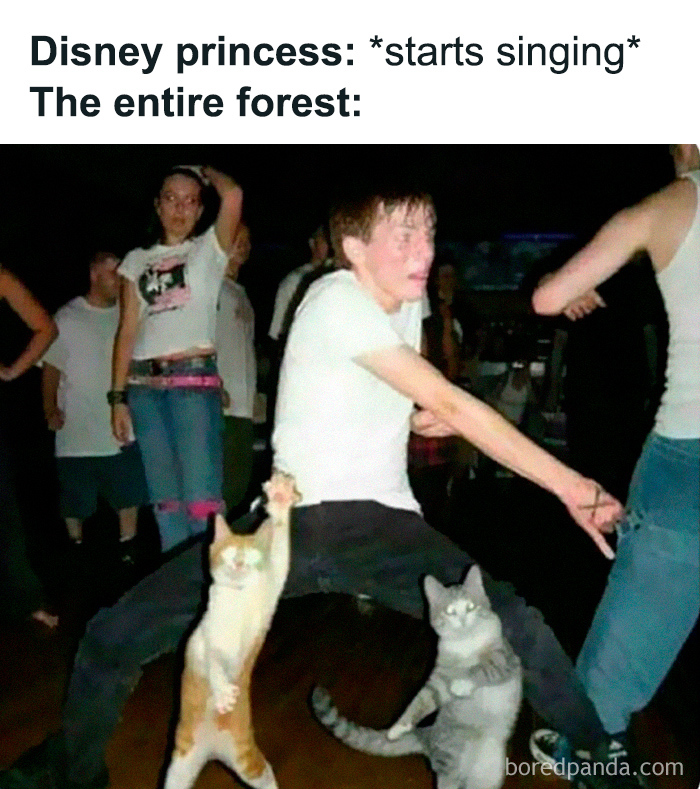 Two cats dancing with a person at a party, adding to memes for those who like weird and unhinged humor.