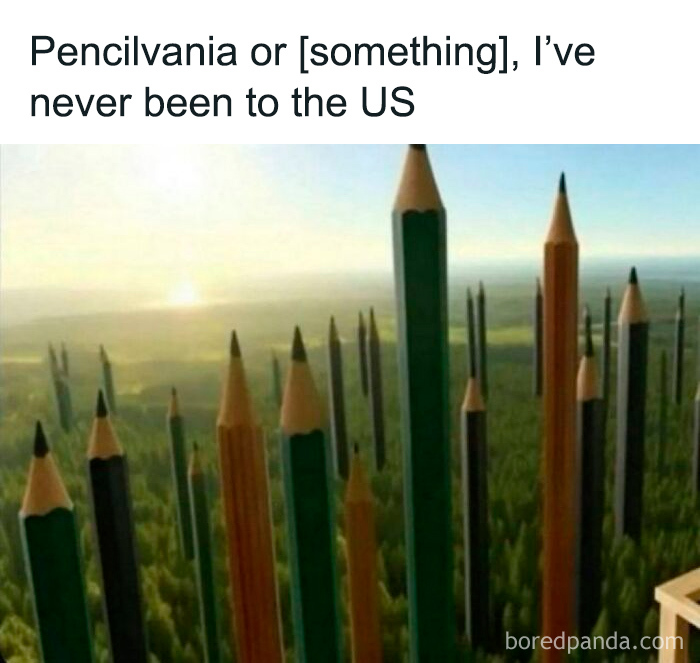 Surreal image of giant pencils standing like skyscrapers over a forest, fitting the weird and unhinged type of humor memes.