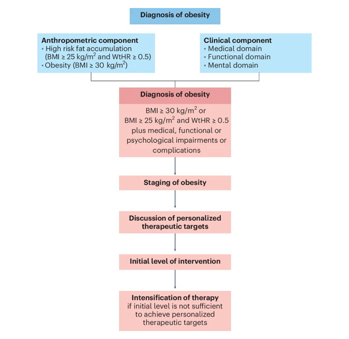 Flowchart showing diagnosis and staging of obesity with anthropometric and clinical components guiding therapeutic targets and interventions. - 9