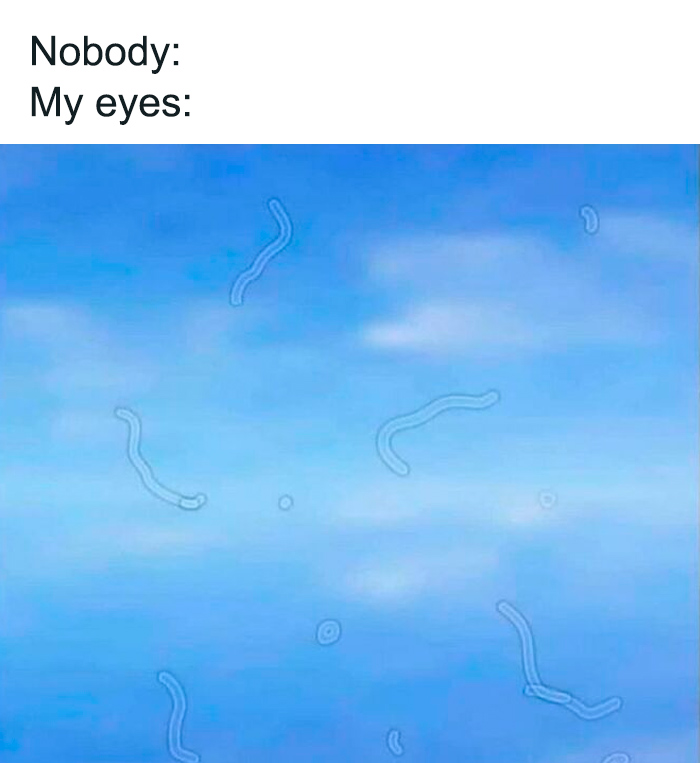 Bluish background with squiggly, blurry lines and text above reading nobody My eyes in a weird and unhinged humor meme.