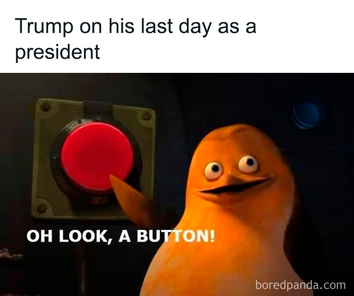 Animated penguin character humorously reaching for a big red button, showcasing weird and unhinged type of humor memes.