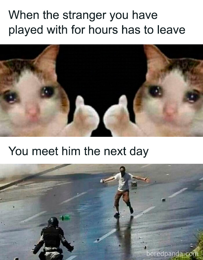 Sad cat giving thumbs up paired with two people facing off on a wet street in weird and unhinged humor meme.