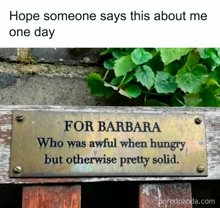 Plaque on a bench humorously describing Barbara as awful when hungry but otherwise solid, from hilarious posts for your circle of idiots.