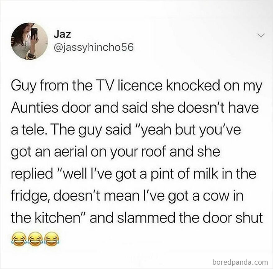 Text meme about a TV licence inspector and a witty British reply, showcasing classic British humor and sarcasm.