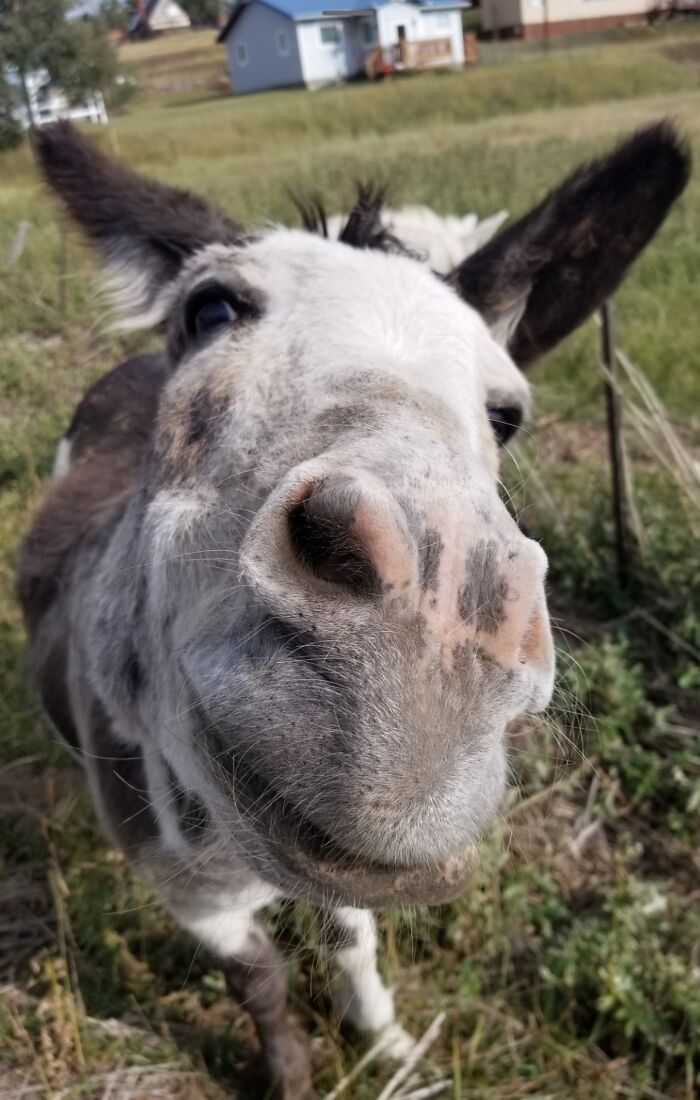 Yes I Took This Picture!