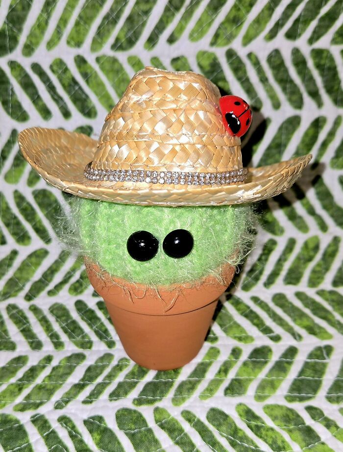 Not Technically A Plant... But He Recognizes As A Cactus. LOL