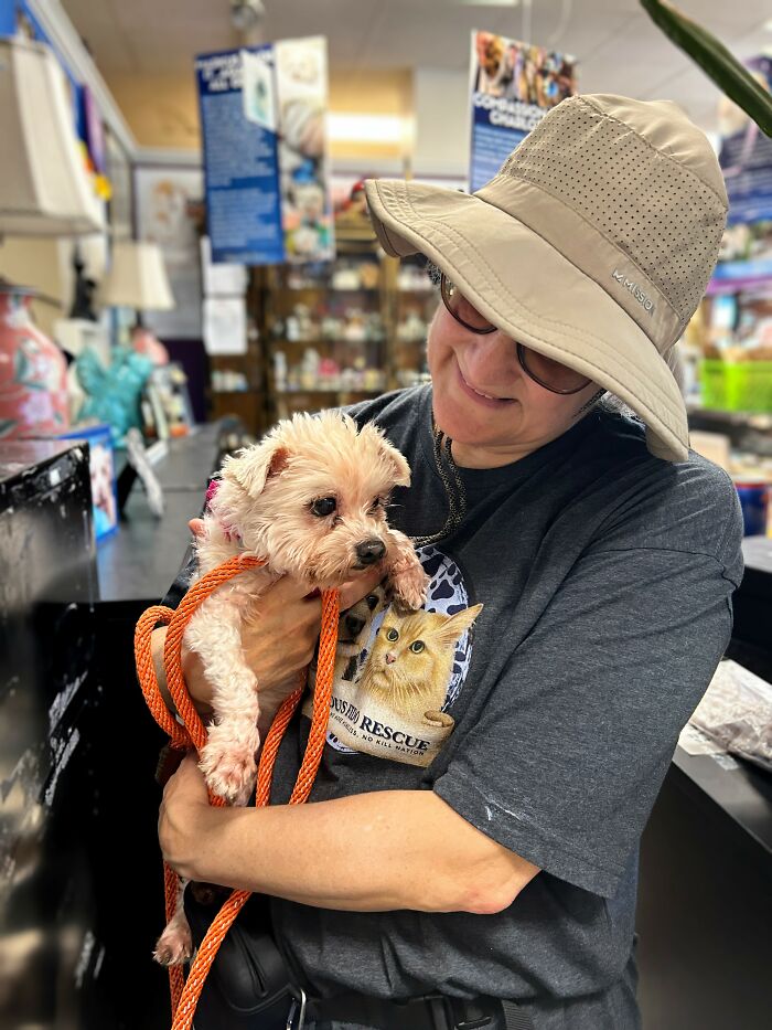 Chicago Rescue Seeks Community Support For Celebration Of Life Gala And Silent Auction