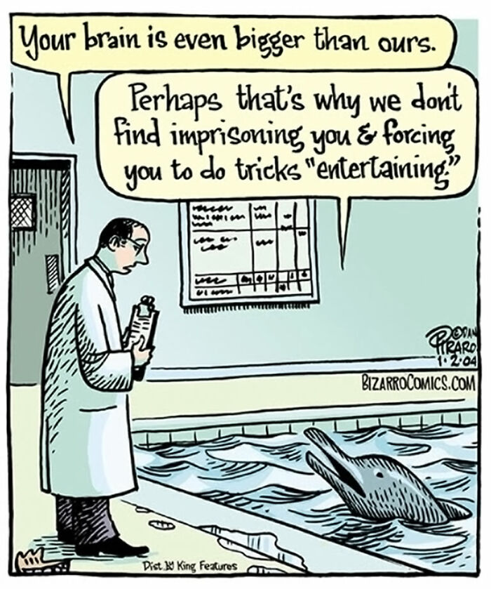 Scientist talking to a dolphin in a pool, highlighting cringy jokes about boomers and the internet clash.