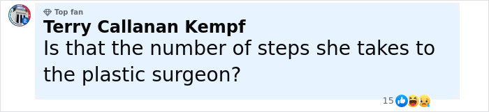 Comment by Terry Callanan Kempf humorously questioning steps to the plastic surgeon, featuring reaction emojis below the text.
