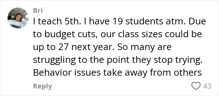 Comment from a concerned US teacher highlighting struggles with student literacy and impact of budget cuts on class sizes.